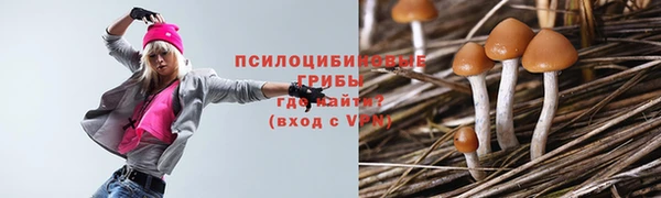 гашиш Арсеньев
